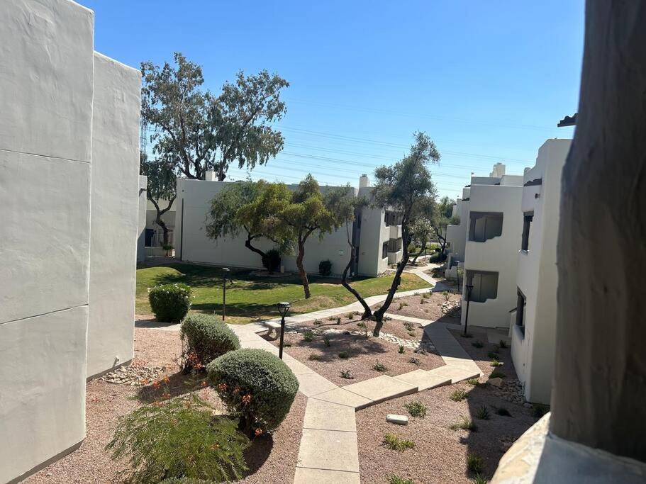 Sweet Retreat In Scottsdale Lejlighed Eksteriør billede